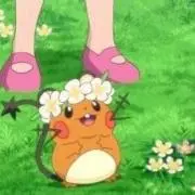 アミの画像