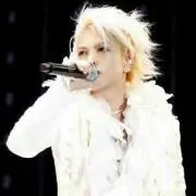 Knite Rose