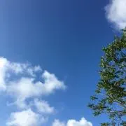 もんちの画像