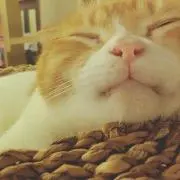 myu