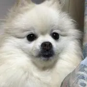 hikaaka