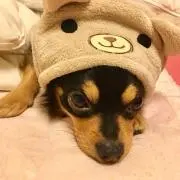 やより