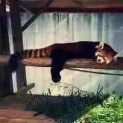 とも︎の画像