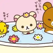 ちこの画像