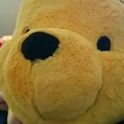 ささみ