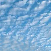 nmiiの画像