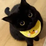 なすの画像