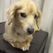 marの画像
