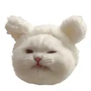 @プロフ必読の画像