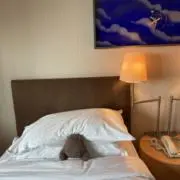 mi_paの画像