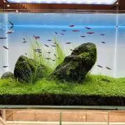 nagisa3の画像