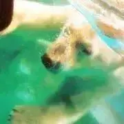 Lu-toの画像