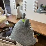 さーなの画像