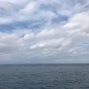 たくじの画像