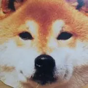 poipoi