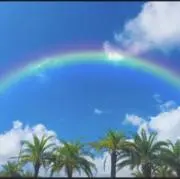 shinの画像