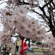 二児のママ⭐️プロフ必読⭐️の画像