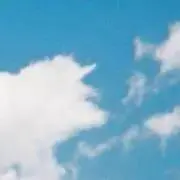 Dの画像