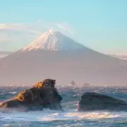 ヨシリン