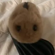 やまねクンの画像