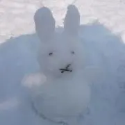 らびの画像