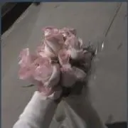 ラベンダー8の画像