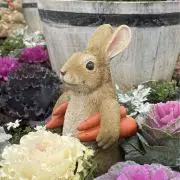 Jasmine♡引越し断捨離中の画像
