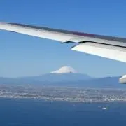 あおたん*