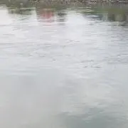 即発送