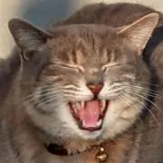 もるふ■プロフに取引情報ありますの画像