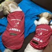 くぅ