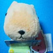 しろぶちプロフ・商品説明参照の画像