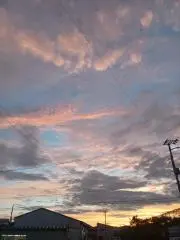 みのり