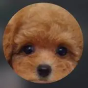 みとの画像