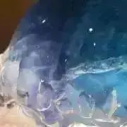 果て猫の画像