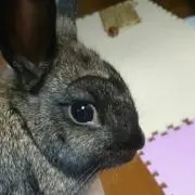 ⭐南十字星⭐プロフ確認して下さいの画像