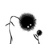 ほの画像