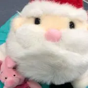 おまさの画像
