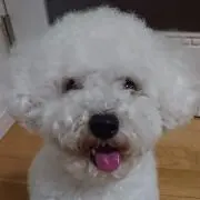 もっちーの画像