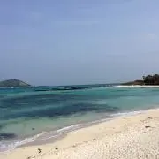みけこの画像