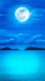 岡田の画像