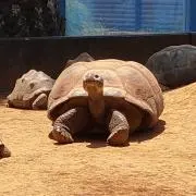 もーりーの画像