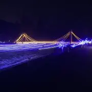 コップの画像