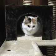 Yutaの画像