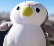 こじろう