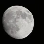 yukiの画像