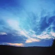 Hazelnutsの画像