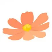 flowerの画像