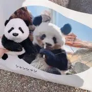 aiの画像