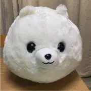 アモアモの画像
